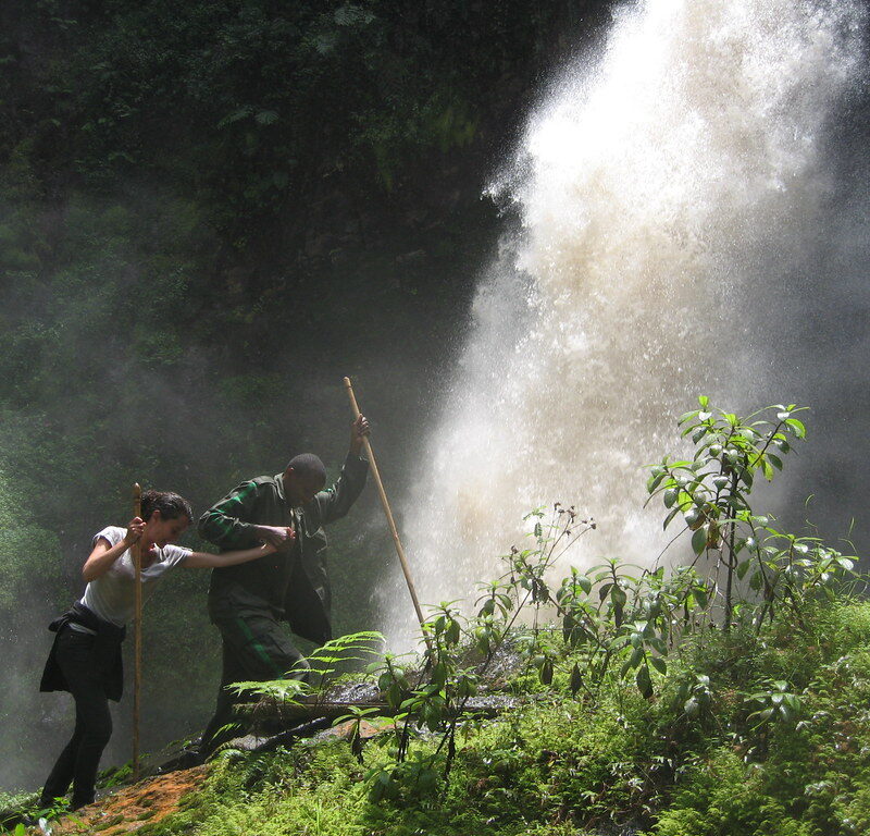 nyungwe3 Best Day Trips from Kigali for Nature Lovers