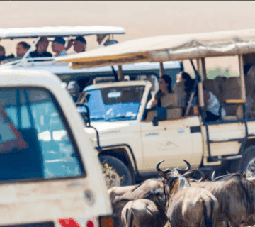 Can You Overland from Kenya to Tanzania by Bus? An Inspirational Journey of Adventure and Discovery