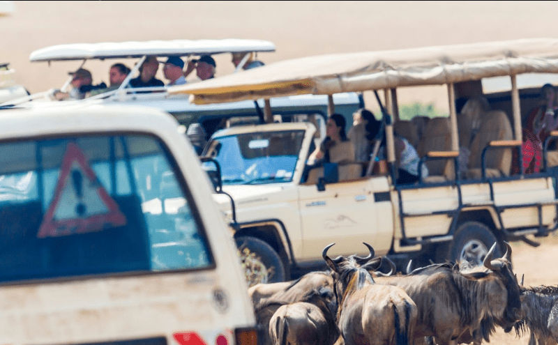 overland-by-bus Can You Overland from Kenya to Tanzania by Bus? An Inspirational Journey of Adventure and Discovery