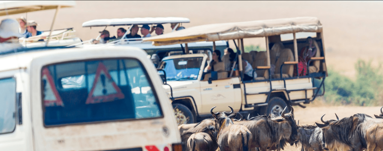 Can You Overland from Kenya to Tanzania by Bus? 1 Can You Overland from Kenya to Tanzania by Bus? An Inspirational Journey of Adventure and Discovery