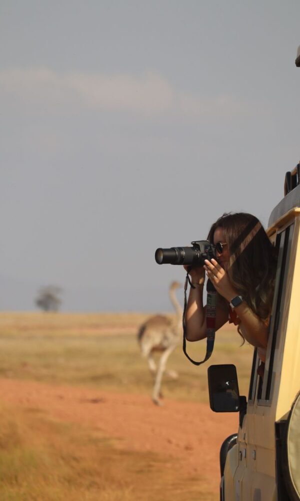 Wildlife Photography Group Safari