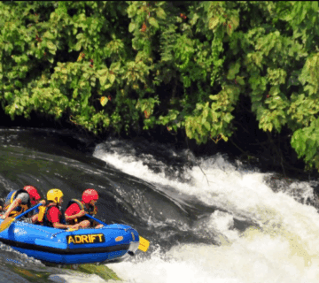 Can beginners try rafting Nile adventure?
