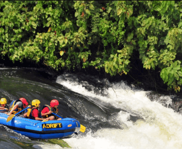 Can beginners try rafting Nile adventure?