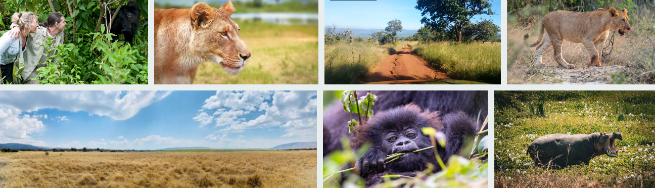 East Africa Group Adventures