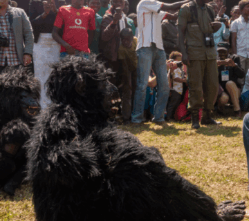 Rwanda's Plastic Bag Ban: What Travellers Must Leave at Home