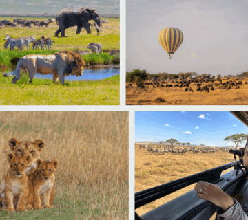 Serengeti Group Travel Tour Deals