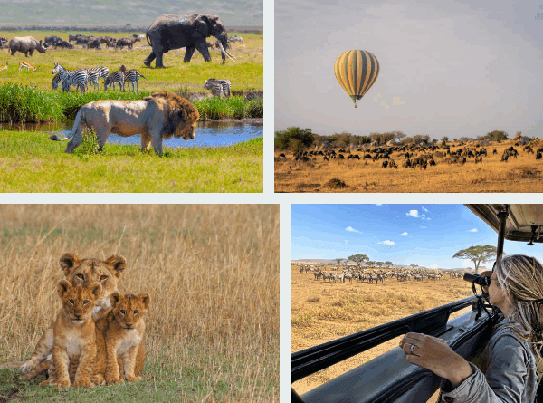 Serengeti Group Travel Tour Deals