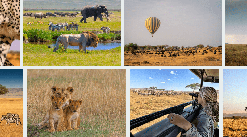 Serengeti Group Travel Tour Deals