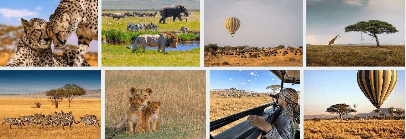 Serengeti Group Travel Tour Deals