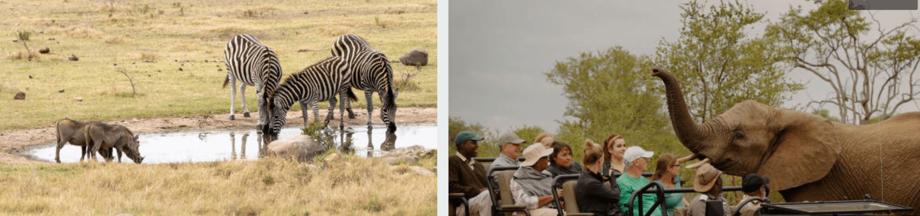 Book a Serengeti group tour for amazing wildlife sightings, Great Migration spectacles and unforgettable Tanzania safari experiences