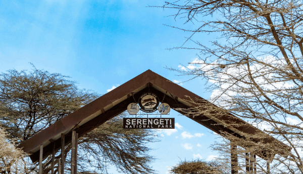 Are There ATMs in Serengeti National Park?
