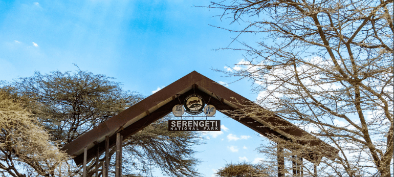 Are There ATMs in Serengeti National Park?