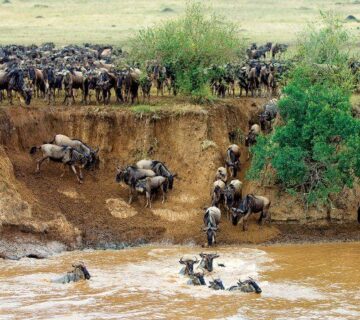 Tanzania Group Camping Safaris