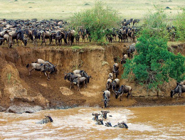 Tanzania Group Camping Safaris