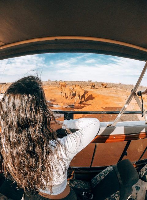 Group Tours for Solo Travelers? Discover the Best Group Tours for Solo Adventurers in East Africa