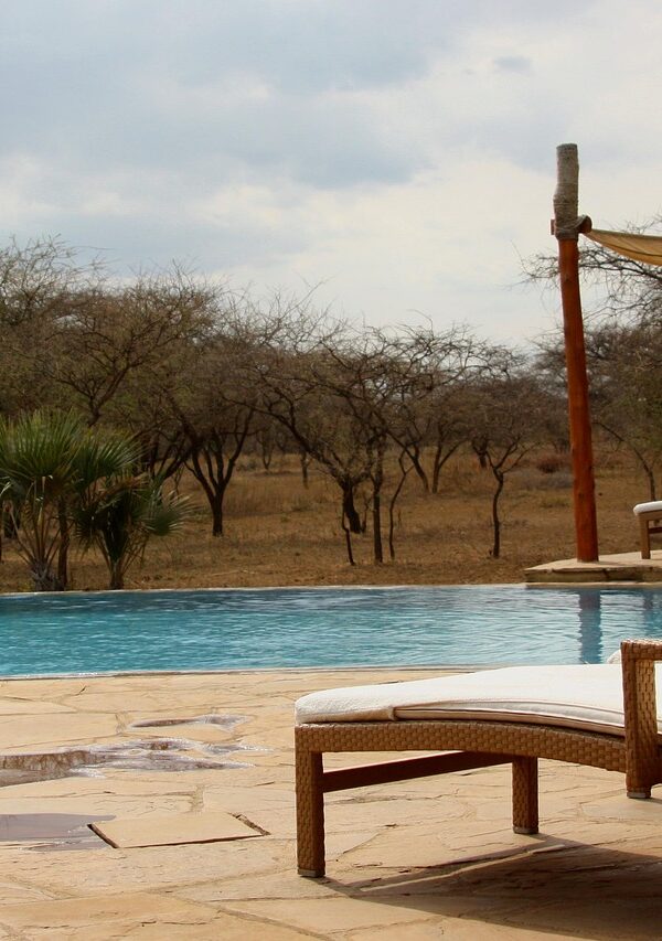 Stunning luxury lodges near gorilla parks offering comfort, elegance, and breathtaking views of the African wilderness.