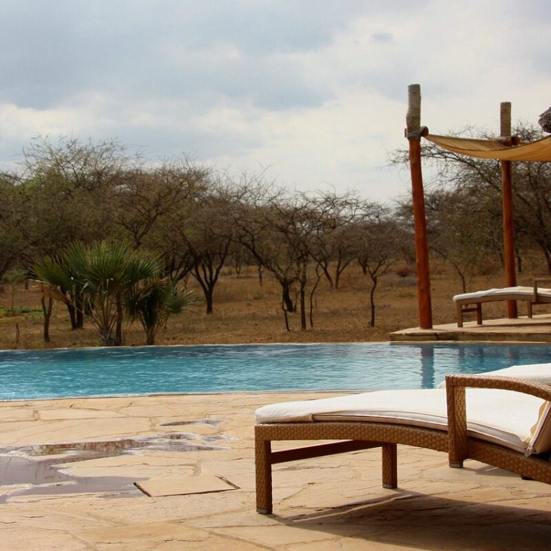 Stunning luxury lodges near gorilla parks offering comfort, elegance, and breathtaking views of the African wilderness.