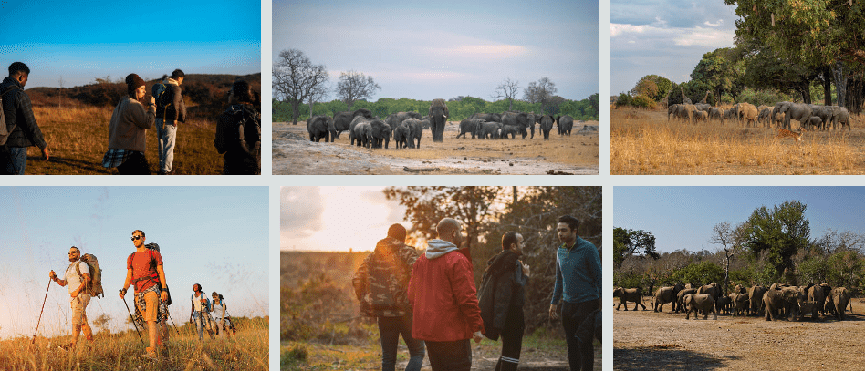 Educational Group Safaris in Uganda & Kenya: Wildlife, Culture & Learning