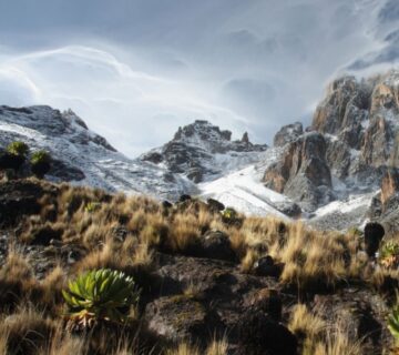 A stunning sunrise over Mount Kenya, with vibrant colors lighting up the peaks and surrounding landscape 
