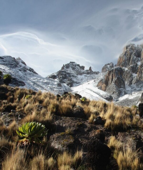 Stunning sunrise over the peaks of Mount Kenya, casting golden light across the rugged landscape."