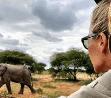 Best Tanzanian Safari for Solo Travelers: An Unforgettable Adventure of Discovery and Empowerment