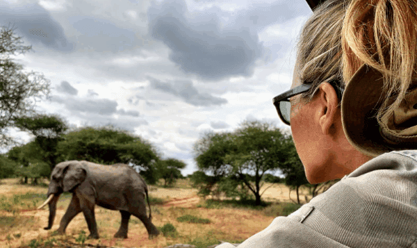 Best Tanzanian Safari for Solo Travelers: An Unforgettable Adventure of Discovery and Empowerment