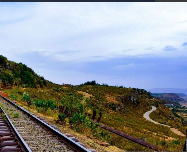 Train traveling through scenic landscapes in Kenya, showcasing beautiful views along the country's railway routes