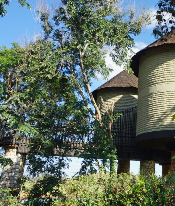 A cozy treehouse hotel nestled in the lush greenery of Kenya, offering stunning views and natural surroundings.