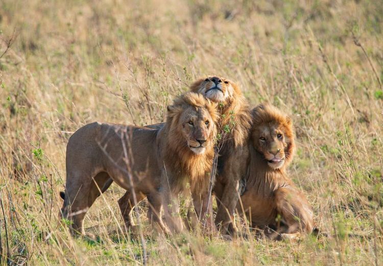 Group Adventure to Tsavo National Park