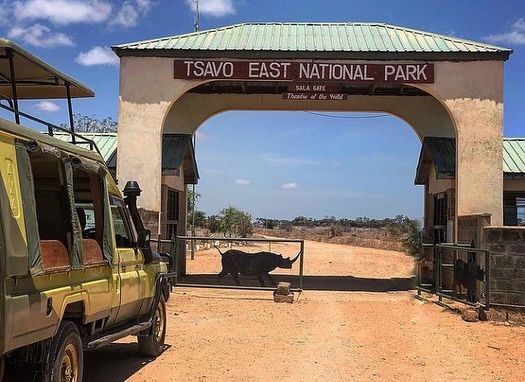 Group Adventure to Tsavo National Park