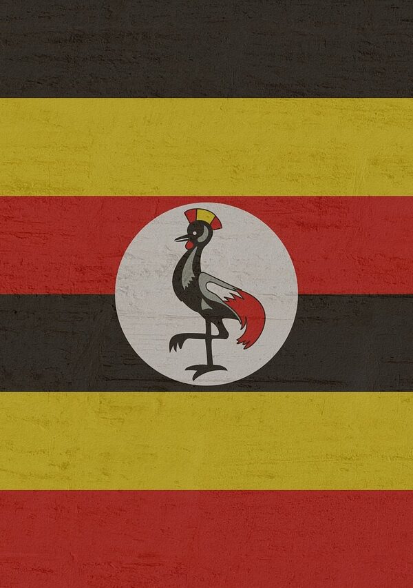 Best SIM cards in Uganda for reliable coverage and affordable data options.