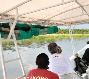 Uganda Adventure Activities – Beyond Safaris: Discover the Thrill of the Pearl of Africa