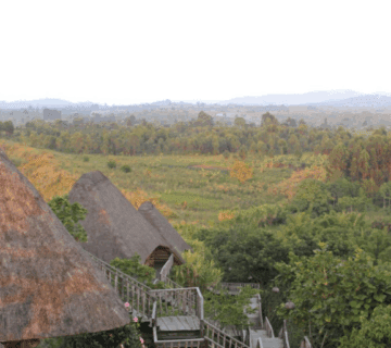 Uganda Eco Tourism – Sustainable Travel: A Journey Towards Conservation and Empowerment