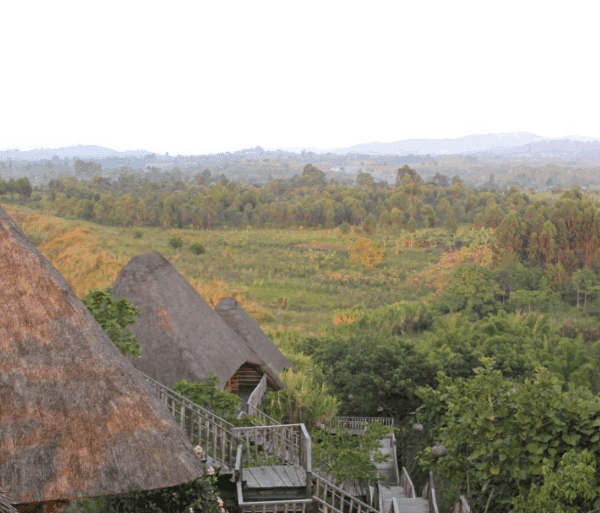 Uganda Eco-Tourism – Sustainable Travel: A Journey Towards Conservation and Empowerment