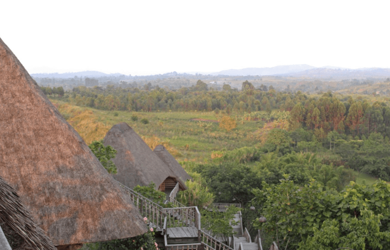 Uganda Eco-Tourism – Sustainable Travel: A Journey Towards Conservation and Empowerment