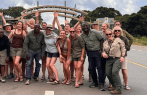 Uganda Group Safari 2025-2026: Trek gorillas, track chimps, spot lions & bond with fellow adventurers on this 8-day wildlife journey