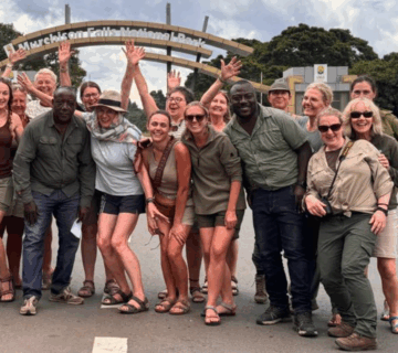 Uganda Group Safari 2025-2026: Trek gorillas, track chimps, spot lions & bond with fellow adventurers on this 8-day wildlife journey. Uganda Murchison Falls Safari