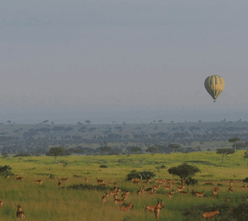 The Unforgettable Aftermath: How a Hot Air Balloon Safari Changes You Forever