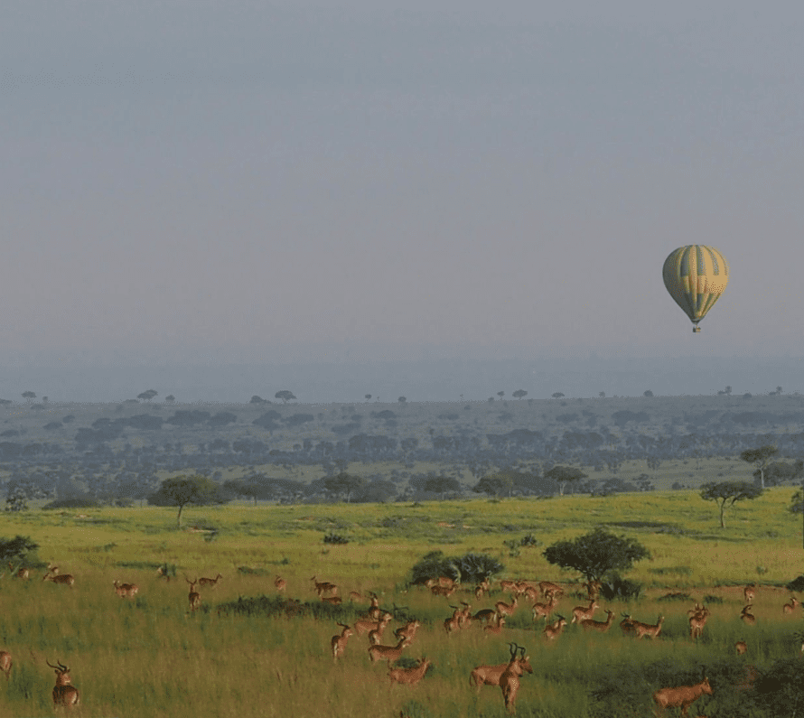The Unforgettable Aftermath: How a Hot Air Balloon Safari Changes You Forever