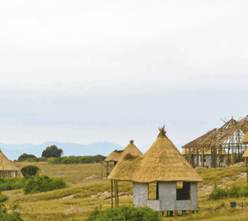 Uganda Luxury Tented Camps – Best Picks for an Unforgettable Safari Experience