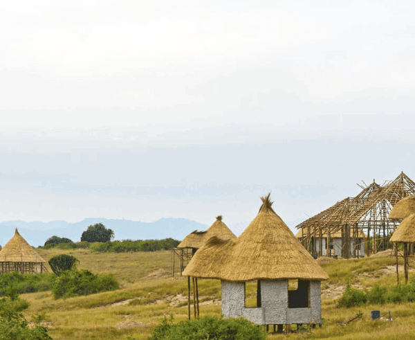 Uganda Luxury Tented Camps – Best Picks for an Unforgettable Safari Experience