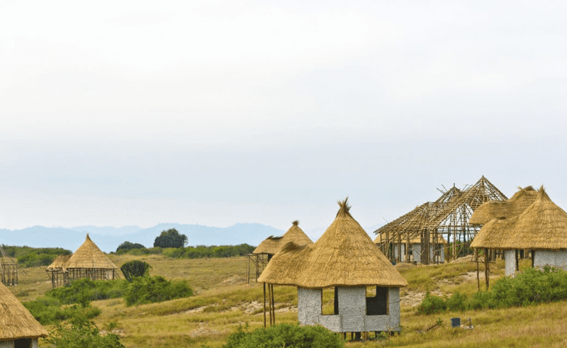 Uganda Luxury Tented Camps – Best Picks for an Unforgettable Safari Experience