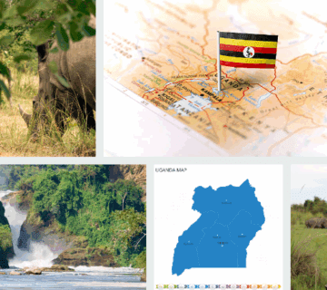 Affordable Uganda Group Safaris