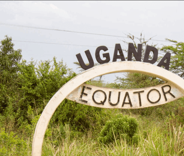 Uganda Safari Deals – Discount Offers: Your Gateway to Affordable Adventure