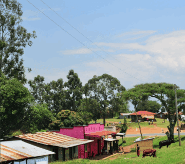 Uganda Solo Travel – Tips & Itineraries: An Inspiring Adventure into the Pearl of Africa