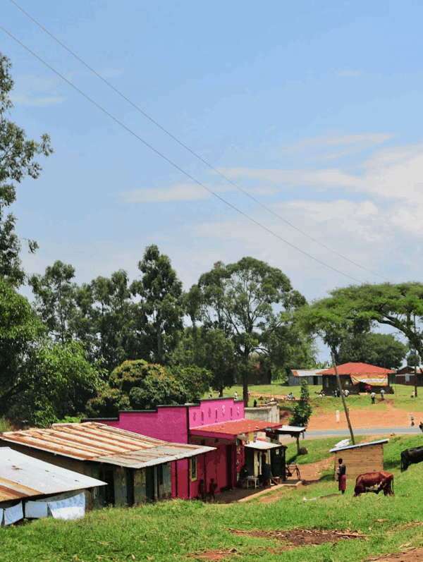 Uganda Solo Travel – Tips & Itineraries: An Inspiring Adventure into the Pearl of Africa