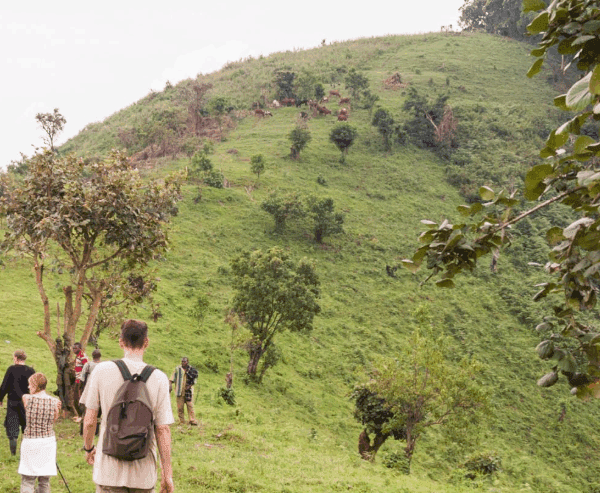 Uganda Walking Safaris – Guided Tours: A Journey of Discovery and Connection with Nature