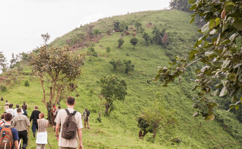 Uganda Walking Safaris – Guided Tours: A Journey of Discovery and Connection with Nature
