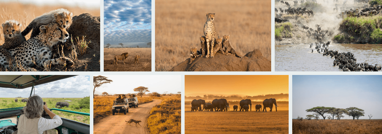 Visit Tanzania