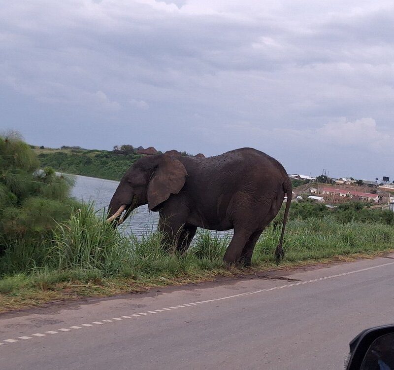 location of queen elizabeth